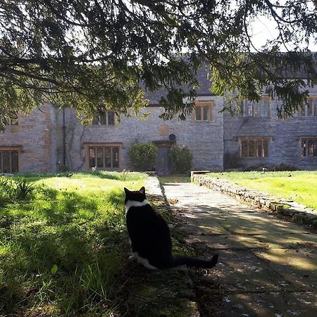 The Manor House, Curry Mallet Taunton Exteriör bild