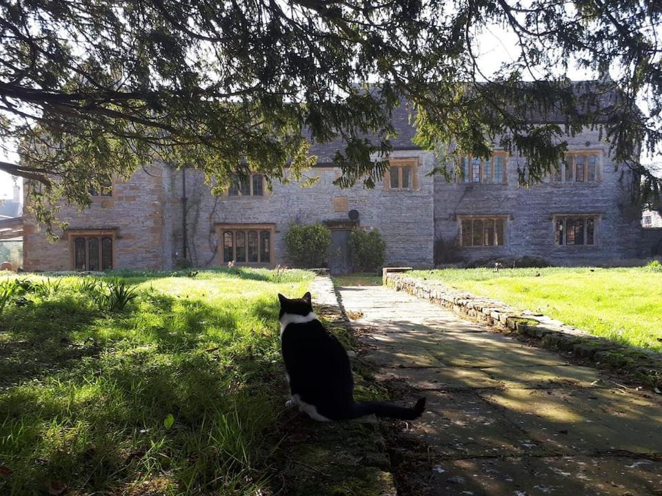 The Manor House, Curry Mallet Taunton Exteriör bild