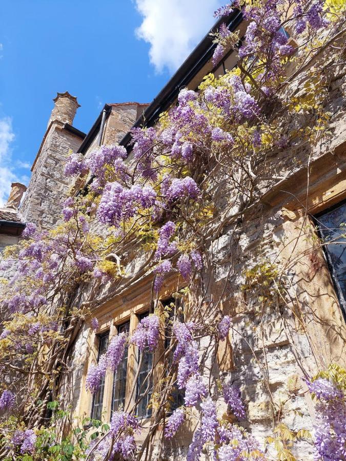 The Manor House, Curry Mallet Taunton Exteriör bild