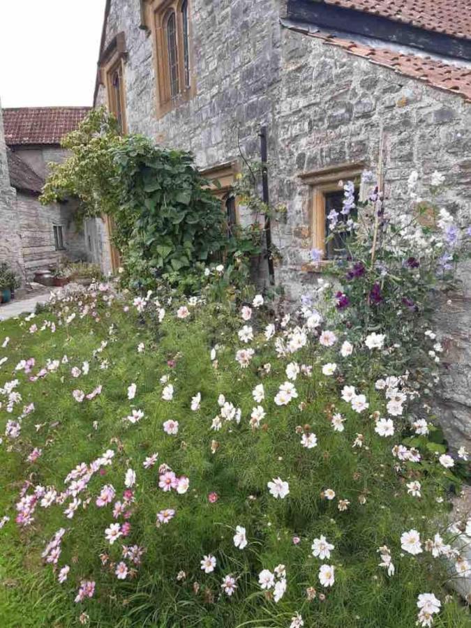The Manor House, Curry Mallet Taunton Exteriör bild